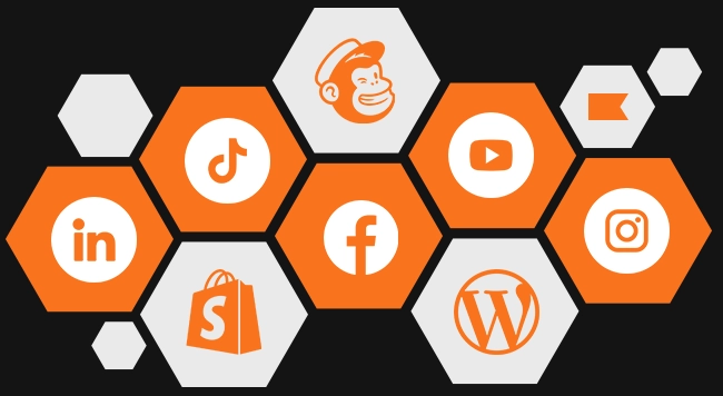 Platforms for Social Media Graphics & Custom Video Editing Graphic and video design platforms including Mailchimp, LinkedIn, Facebook, Instagram, and WordPress