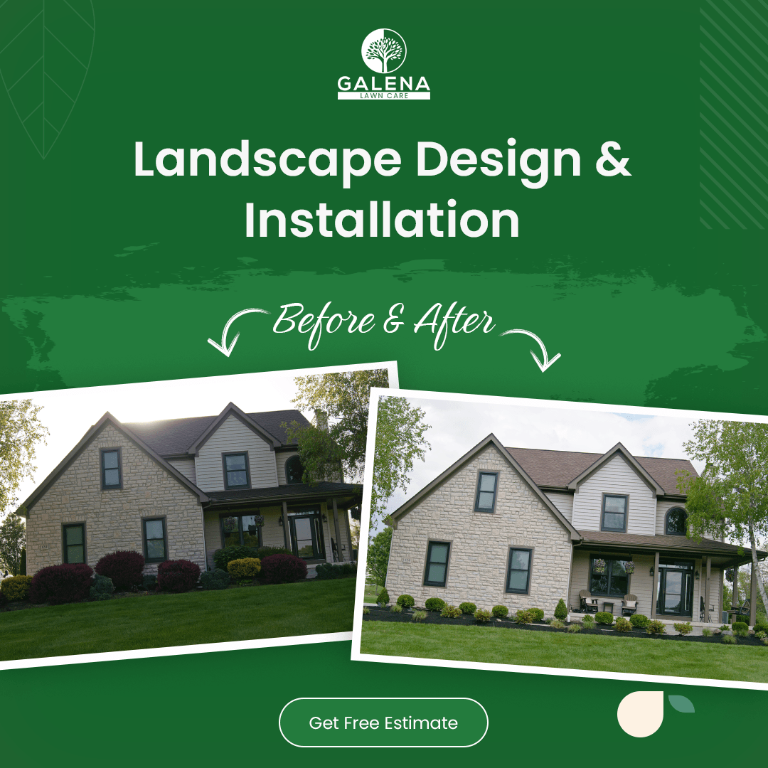 Landscaping before and after