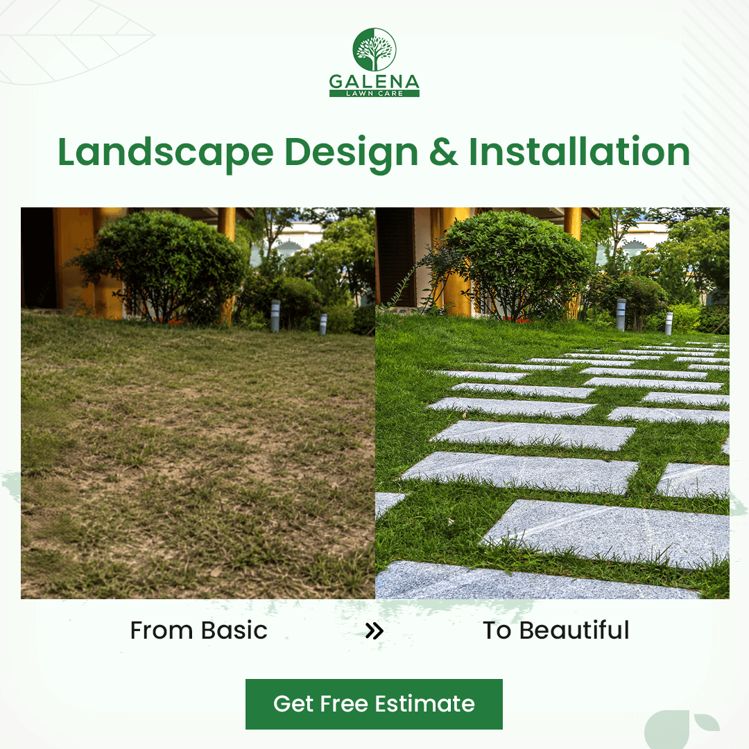 Landscape stone path makeover