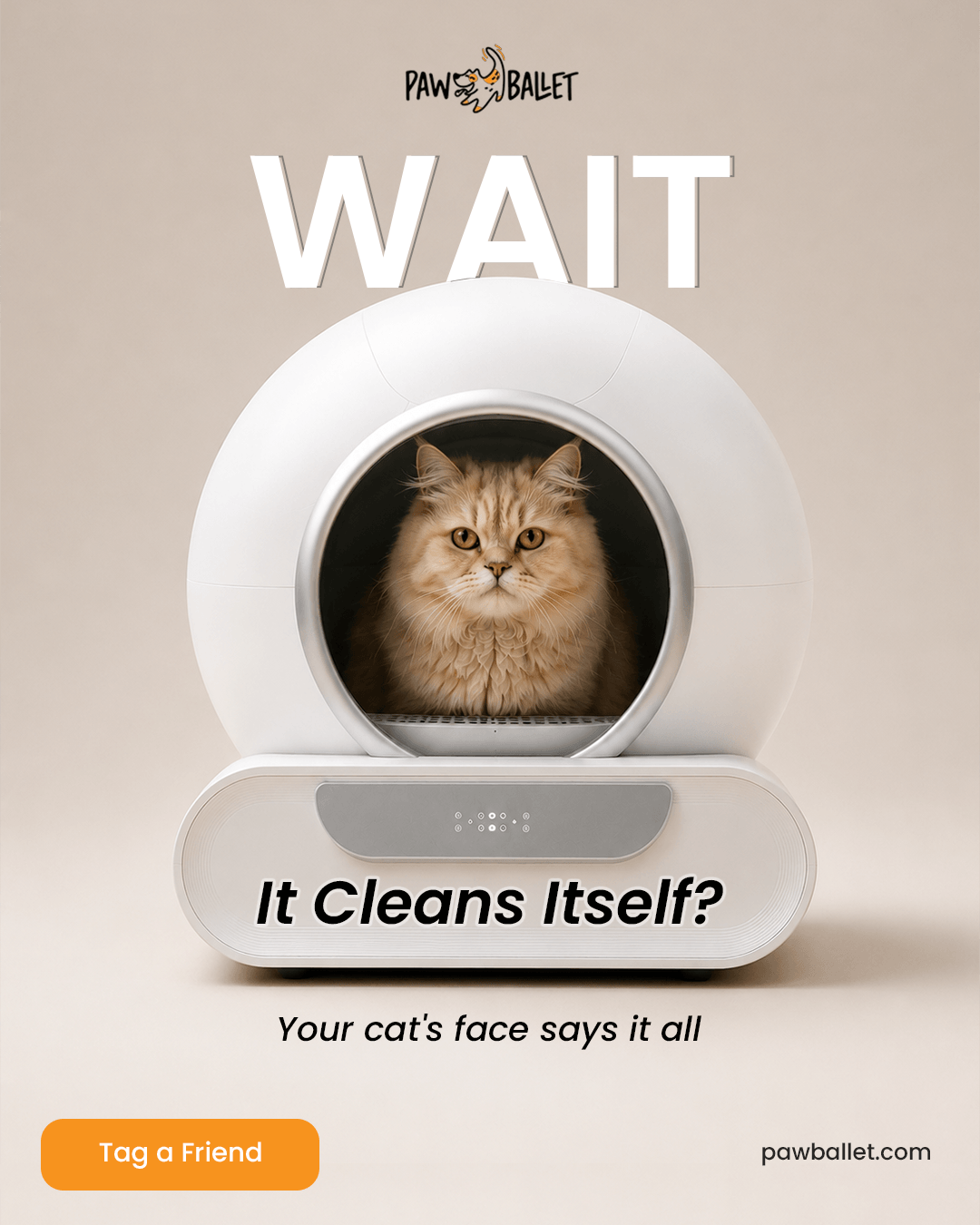 Self-cleaning cat litter box