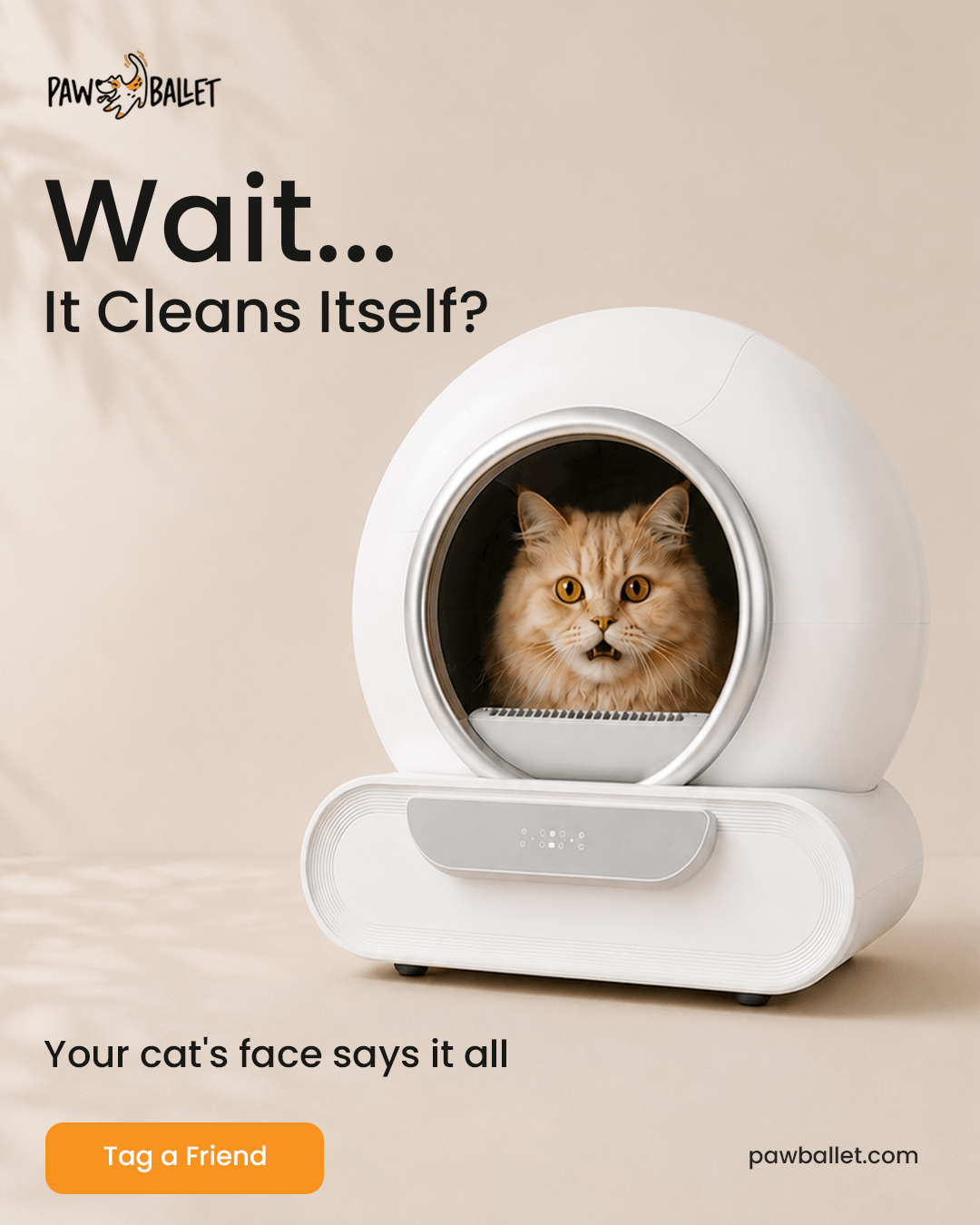 Cat in litter box