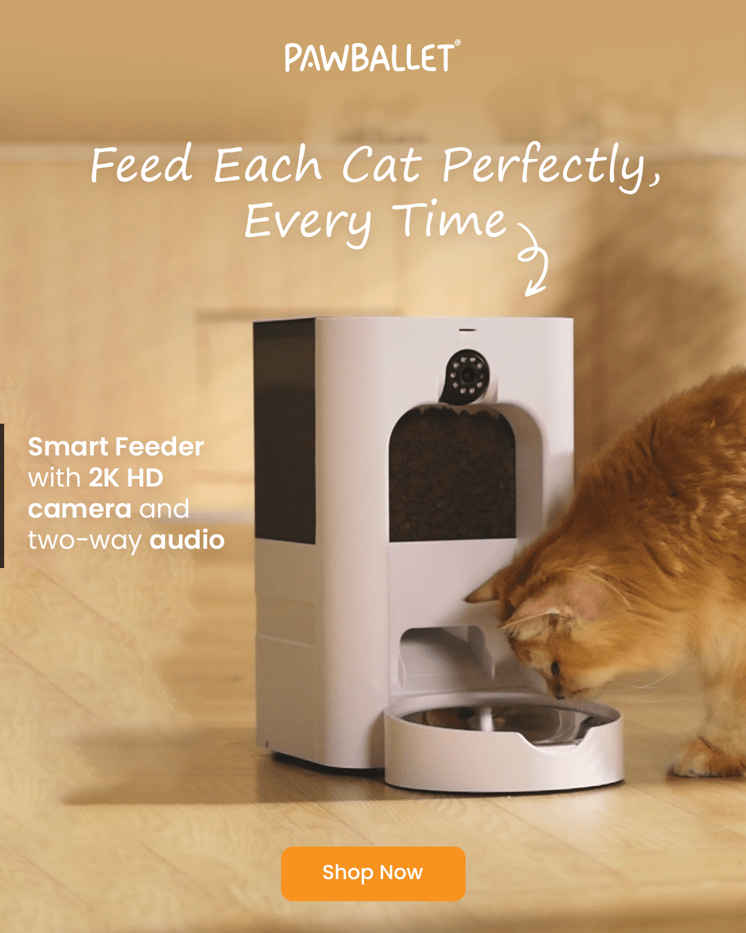 Cat using smart feeder