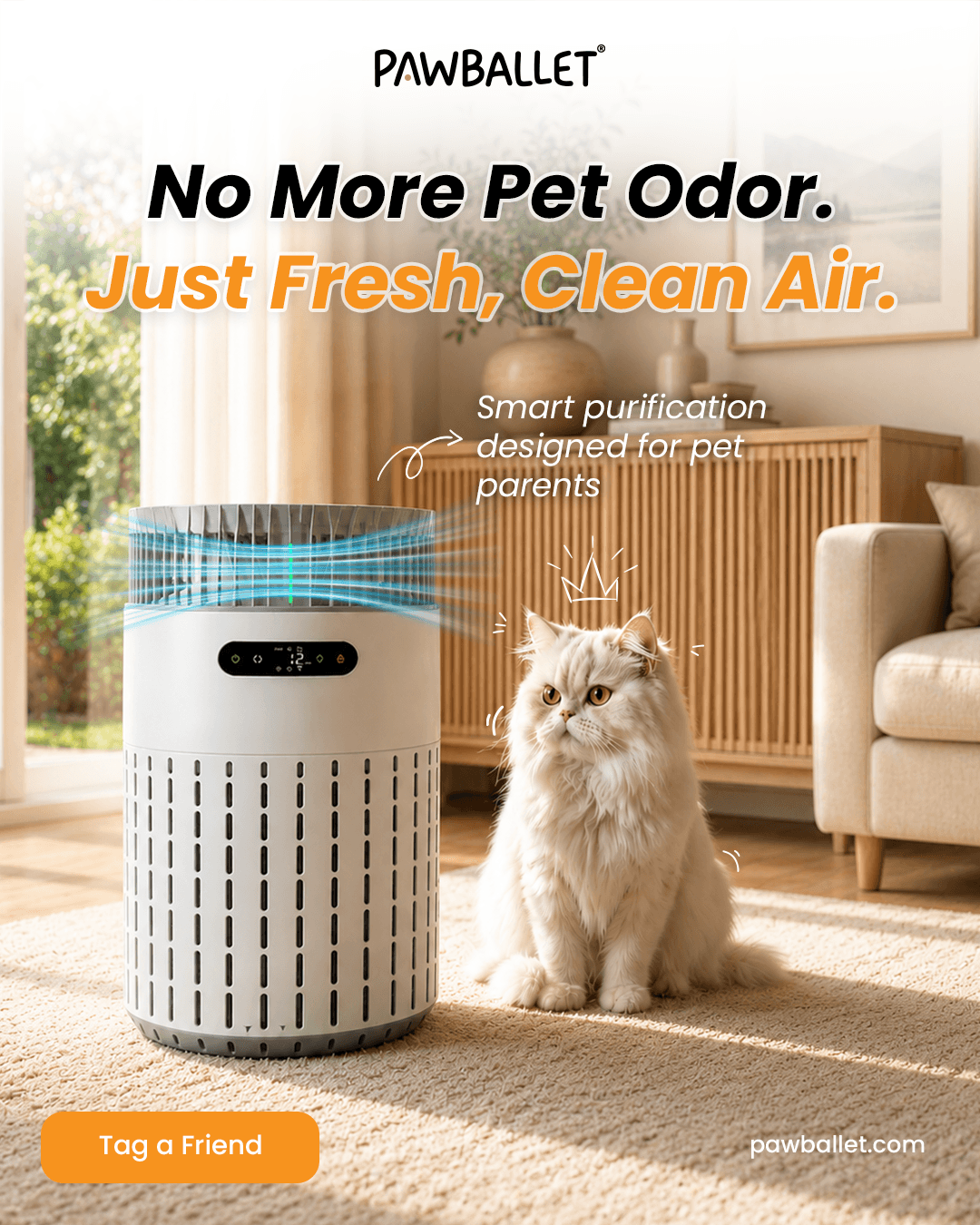 Pet air purifier room